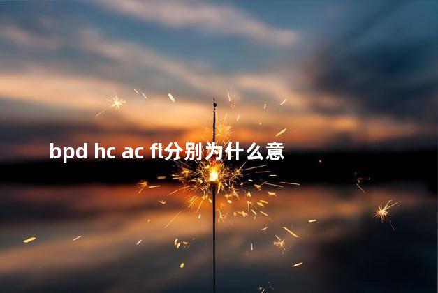 bpd hc ac fl分别为什么意思